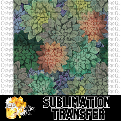 Succulents - Sublimation Transfer
